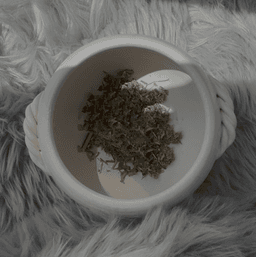 アロマタッチ+おかま直伝®よもぎ蒸し